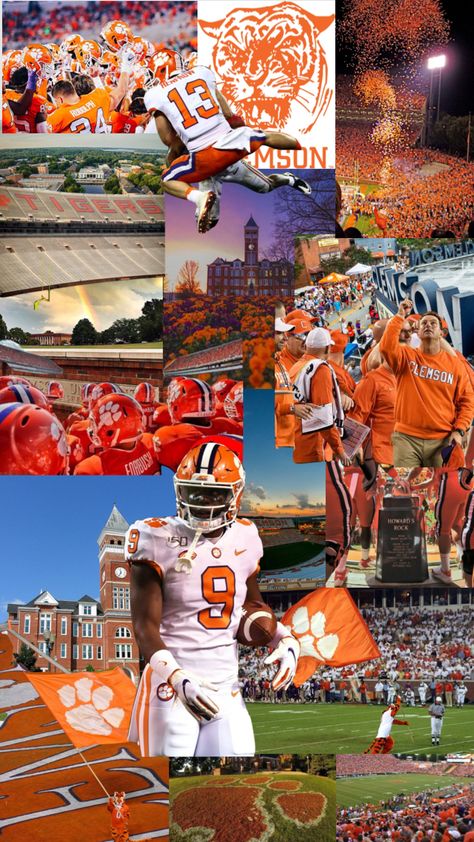 Clemson Football Wallpaper, Clemson University Aesthetic, Universities Aesthetic, Clemson Aesthetic, Clemson Wallpaper, Clemson Tigers Wallpaper, Clemson Art, Clemson College, Dream University