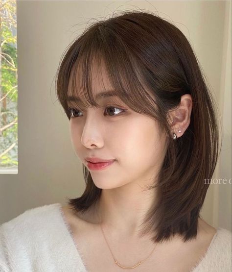 Korean Medium Hair Straight, Short Hair With Light Bangs, Short Hairstyles Shoulder Length, Korean Short Hairstyle, Hair Color Underneath, Korean Short Hair, Short Hair Images, Music Instagram, Hair Inspiration Long