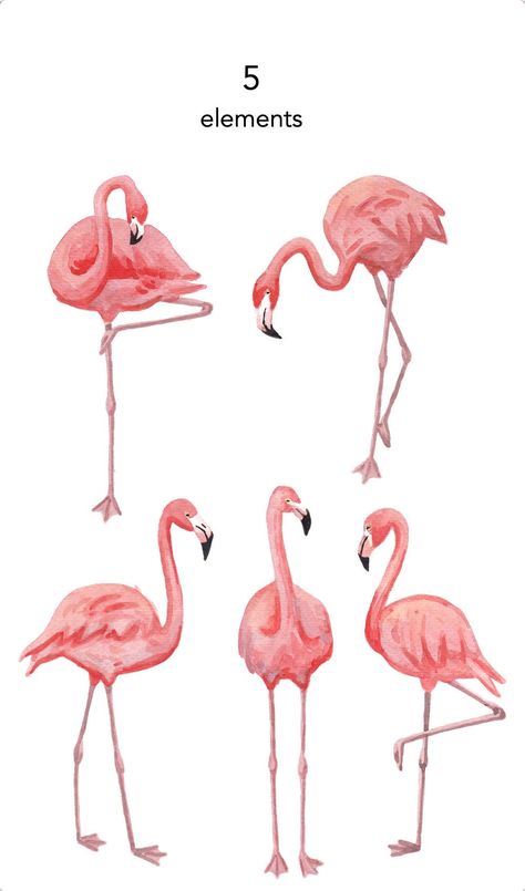 Tropical Png, Flamingo Clipart, Flamingo Pictures, Woodland Clipart, Flamingo Graphic, Flamingo Illustration, Flamingo Art Print, Flamingo Painting, Flamingo Art