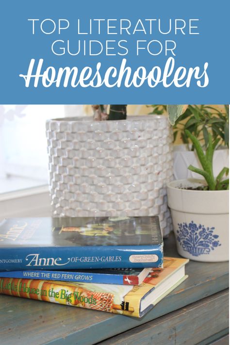 Top Literature Guides for Homeschoolers #homeschool #cmhomeschoolers #homeschoolcurriculum #raisingreaders Homeschool Book Club Ideas, Teen Book Club, Homeschool Literature, Literature Study Guides, Read Aloud Activities, Reading Aloud, Expository Writing, Homeschool Books, Toy Room