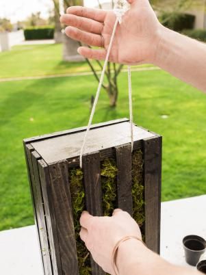 DIY Vertical Cut-Out Planter Succulent Garden | HGTV Foot Washing Station, Make A Cactus, Wash Station, Washing Station, Outdoor Greenhouse, Hgtv Shows, Succulent Art, Hanging Succulents, Succulent Garden