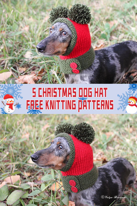 5 Christmas Dog Hat Knitting Patterns - FREE - iGOODideas.com Dog Christmas Hat Crochet Pattern, Crochet Dog Santa Hat Free Pattern, Dog Beanie Pattern, Dog Hat Crochet Pattern, Hat Knitting Patterns Free, Crochet Dog Hat Free Pattern, Dog Hat Pattern, Knitted Dog Hat, Christmas Dog Hat