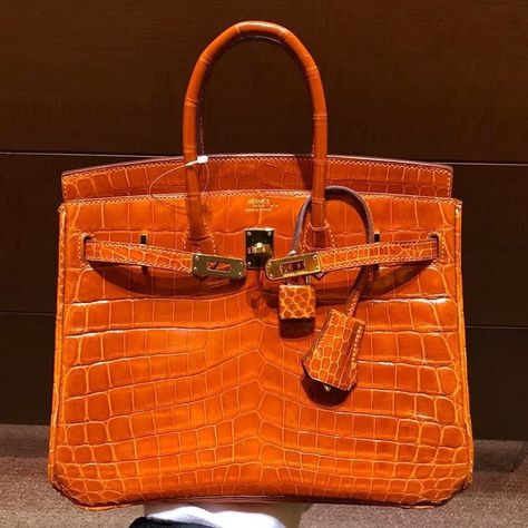 Hermes Birkin Orange, Luxury Bags Collection, Luxury Purses, Instagram S, Birkin 25, Orange Bag, Hermes Bags, Hermes Birkin, Birkin Bag