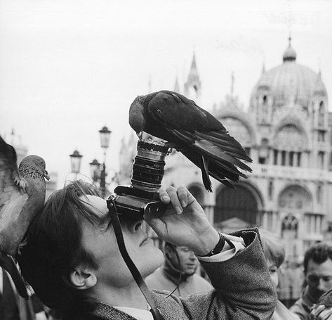 Sing With Me, Arte 8 Bits, A Series Of Unfortunate Events, Marco Polo, Alain Delon, The Secret History, Pose Reference Photo, White Aesthetic, Venice Italy