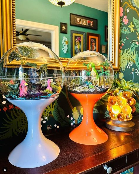 How creative and adorable are these creations, looks awesome as a pair! 😍🎍🎍🧡 Credit photo📷 : @missmellieq . . . . #potifiv #terrarium… | Instagram 70s Home, 70s Home Decor, Plant Ideas, Green Thumb, Terrarium, Indoor Plants, Cribs, 1970s, Plants