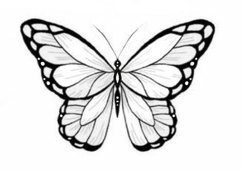 Butterfly Tattoo Design, Ems Tattoos, Feather Tattoo Meaning, Butterfly Tattoo Stencil, Tattoos Cute, Free Stencils Printables, Butterfly Stencil, Small Butterfly Tattoo, Stencils Printables