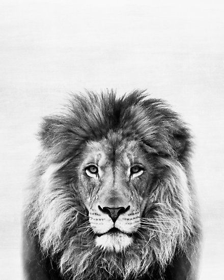 Buy 'Lion' by Julia Emelianteva as a Graphic T-Shirt, Poster, Throw Pillow, Tote Bag, Art Print, Canvas Print, Framed Print, Art Board, Photographic Print, Metal Print, Greeting Card, Drawstring Bag, or Spiral Notebook