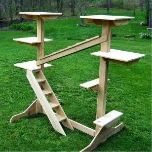 Extra Large Outdoor Cedar Cat Gym Cat Jungle Gym, Cat Jungle, Chat Diy, Cat Gym, Diy Cat Tree, Cat Playground, Jungle Gym, Cat Enclosure, Cat Shelves