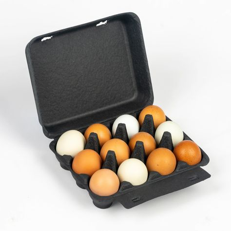 Poultry Cartons - Egg Cartons, Cartons, Quail Egg Cartons Garden Chickens, Seed Starters, Black Chicken, Egg Photo, Black Chickens, Duck Eggs, Egg Cartons, Perfect Eggs, Quail Eggs