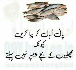 Funny Post For Fb, Funny Poetry In Urdu, Funny Cartoon Photos, Good Heart Quotes, Sms Jokes, Intuition Quotes, Whatsapp Status Videos, Urdu Funny Quotes, Urdu Funny Poetry