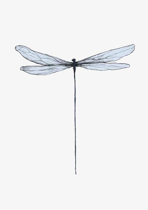 Dragonfly Drawing Tattoo, Tattoos For Artists, Texture Tattoo, N Drawing, Drawing Insects, Tattoo Artistic, Insect Drawing, Dragonfly Drawing, 16 Tattoo