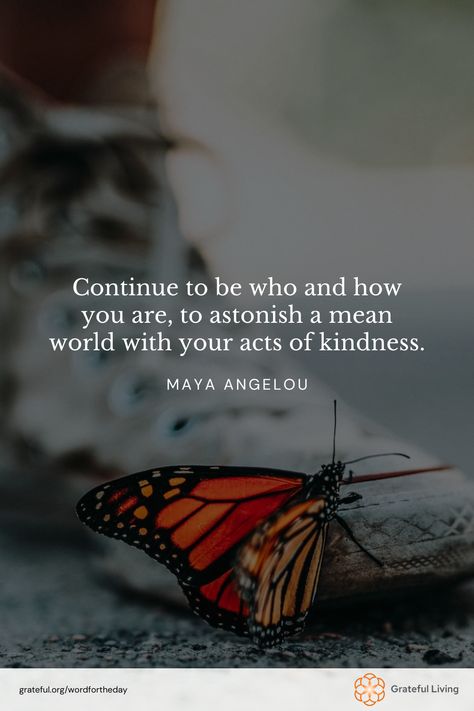 "Continue to be who and how you are, to astonish a mean world with your acts of kindness." -Maya Angelou  📷: Nathan Dumlao  #WordForTheDay #GratefulLiving #Gratitude #Gratefulness #Grateful #Quote #Quotes #DailyQuote #QuoteOfTheDay #GratitudePractice #GratitudeDaily #Kindness #Inspiration #Positivity #ActsOfKindness #Empathy Kind Words Quotes, Acts Of Kindness Quotes, Kind People Quotes, Generous Quotes, Act Of Kindness Quotes, Words Of Kindness, Acts Of Kindness, Kindness Quotes, Practice Gratitude