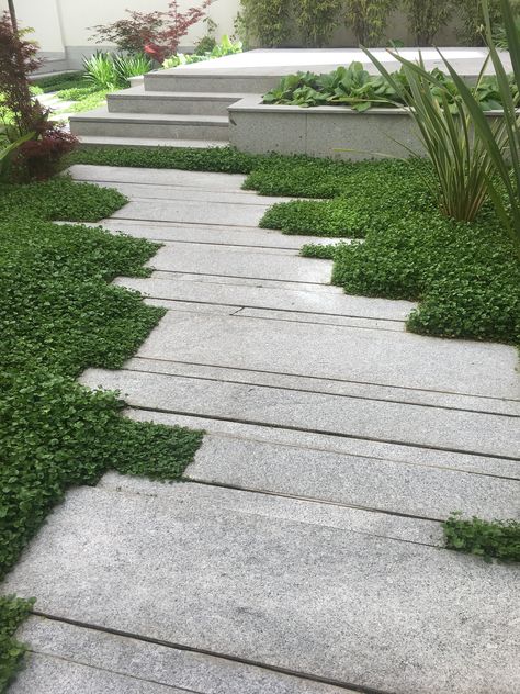 Modern Garden Path, Garden Paving Ideas, Walkway Landscaping, Paving Design, Walkways Paths, Garden Tiles, Garden Paving, Landscape Materials, Garden Pathway