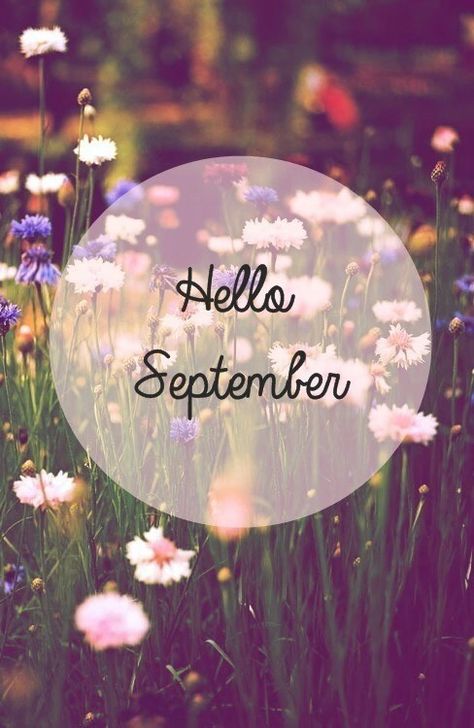 Hello September Flowers september hello september welcome september happy september hello september quotes happy september quotes welcome september quotes Hello September Images, September Pictures, September Images, September Quotes, New Month Quotes, September Wallpaper, Welcome September, Funny Minion Pictures, Seasons Months