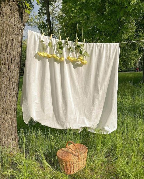 Cottagecore | cottagecoredream Photo Minimalism Inspiration, Outdoor Photoshoot Props Ideas, Clothesline Photoshoot, Tee Photoshoot, Clothesline Diy, Picnic Baby Showers, Laundry Line, Outdoor Portraits, Fashion Photography Inspiration