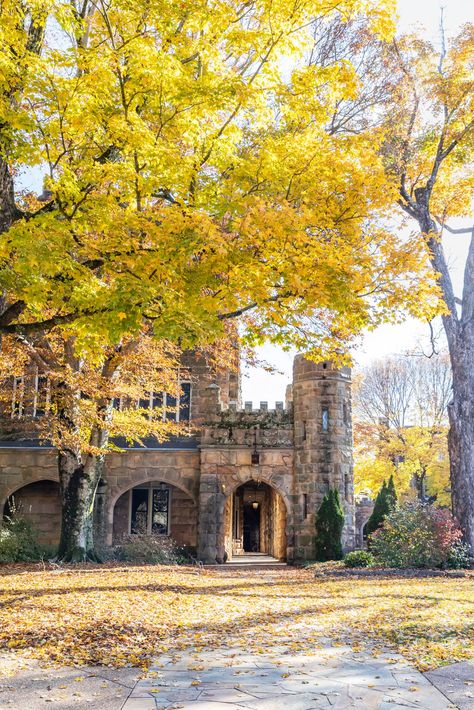 Learn About the South's Fall Foliage in Sewanee, Tennessee Sewanee Tennessee, Cashiers North Carolina, Fall Color Trees, Harbor Town, Tennessee Travel, Driftwood Beach, Fall Senior Pictures, Eureka Springs, College Town