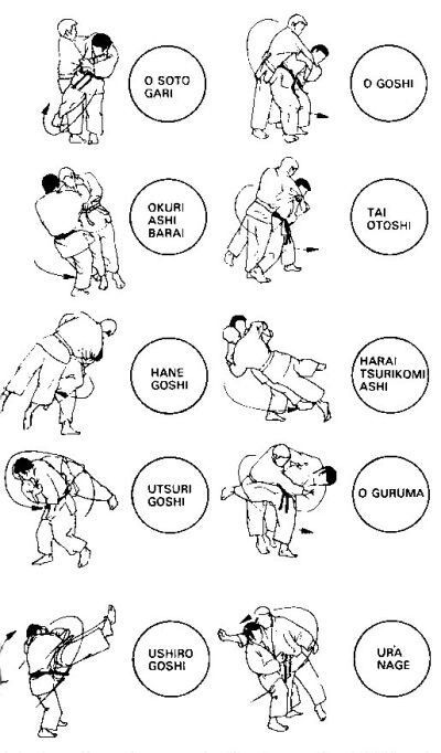 Judo Basics, Judo Techniques, Judo Throws, Judo Training, Karate Kata, Martial Arts Sparring, Trening Sztuk Walki, Shotokan Karate, Karate Martial Arts