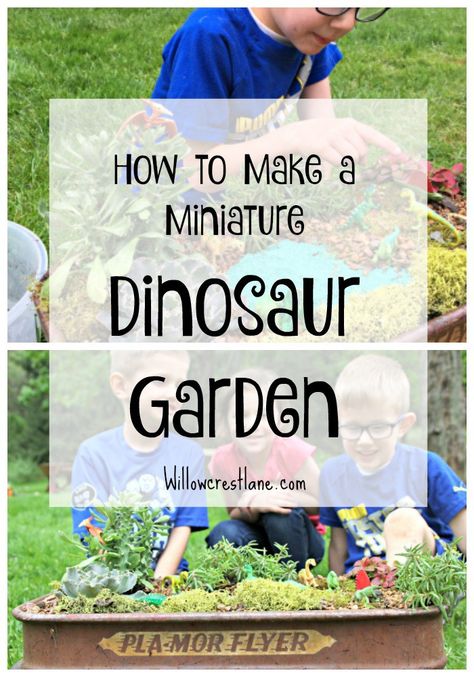 willowcrest lane dinosaur garden Dinosaur Garden, Mother Of Four, Parenting Win, Children's Garden, Diy Garden Projects, Gardening For Kids, Miniature Garden, Mini Garden, Organic Gardening