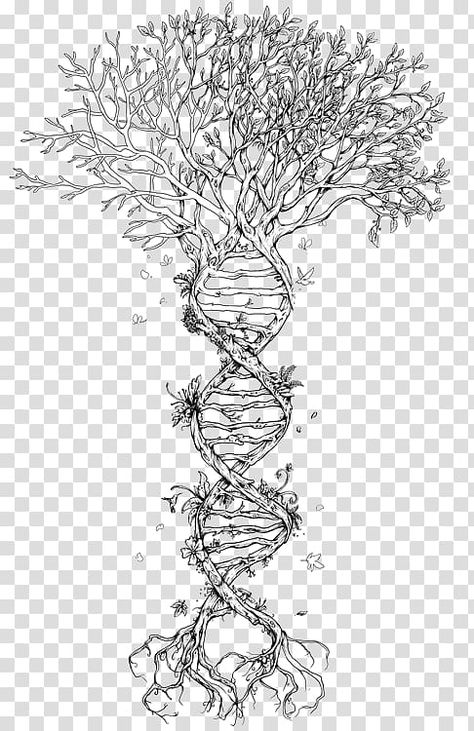 Family Tree Illustration, Dna Tree Drawing, Tree Of Life Drawing, Dna Drawing Science, Tree Of Life With Dna Tattoo, Dna Background, Dna Tree Of Life, Dna Sequence Art, Human Evolution Tree