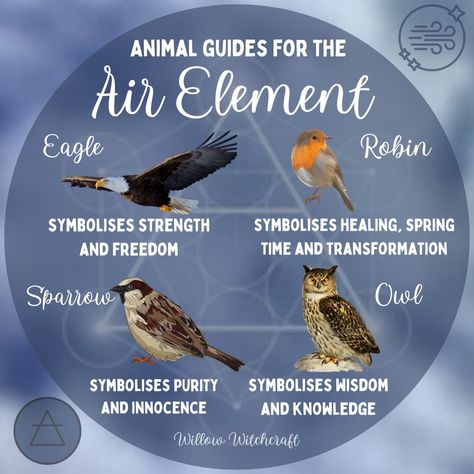 Elements As Animals, Element Animals, Water Element Animals, Air Element Animals, Witch Familiar Animals List, Animals In Witchcraft, Witchcraft Air Element, Animal Totem Spirit Guides, Native American Totem