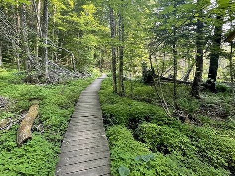 This Picturesque 7.5-Mile Hike In Michigan Will Lead You Someplace Unforgettable Hiking In Michigan, Family Beach Trip, Fall Hiking, Calm Water, Travel Memories, Lake Michigan, National Forest, Water Park, Natural Wonders