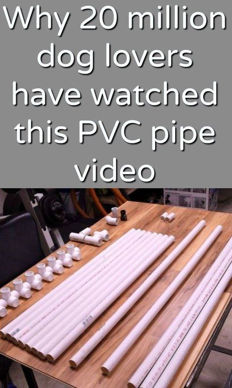 This is SO cool! Pvc Pipe Projects, Pvc Projects, Dog Wash, Dog Shower, Dog Bath, Christmas Decorations Diy Outdoor, Dog Info, Dog Agility, Diy Dog