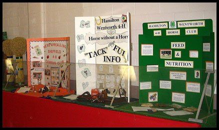 4-H as a Homeschool Curriculum Supplement 4h Poster Ideas Projects, Life Schooling, 4-h Poster Ideas, 4h Crafts, Trifold Board, Tri Fold Poster, Horse Projects, 4 H Clover, Ag Science