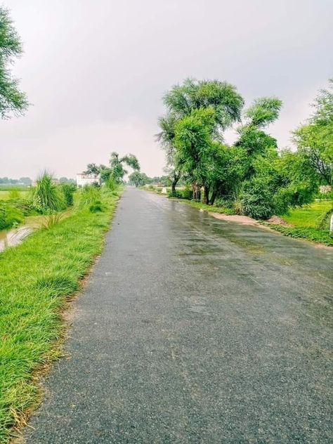 Village Rain Photography, Village Background For Editing, Indian Nature Photography, Rainy Day Village, Punjab Village Photography, Indian Village Photography, Rain In Village, Village Life Photography, Village Snap