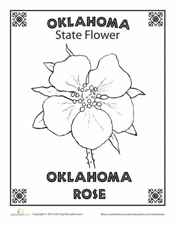 Worksheets: Oklahoma State Flower Oklahoma State Symbols, Oklahoma Themed Tattoo, Mushrooms Coloring Pages, Flower Worksheet, Oklahoma City Things To Do, Oklahoma Tattoo, Oklahoma Rose, Classroom History, State Project