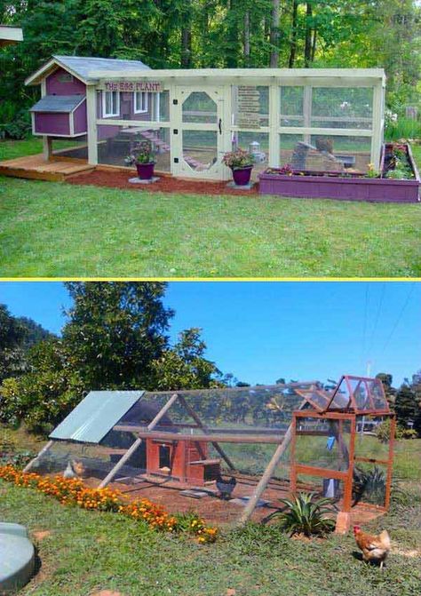 How about saving money and using mostly nets to build a chicken coop in an airy cool yard? Try out this idea - Building a chicken coop is a fairly simple weekend woodworking project. The free chicken coop plans below include blueprints, material lists, and building instructions, making it an easy and low-cost option over buying a chicken coop. #chickencoop #backyardideas #chickencoopplans #farmfoodfamily Duck Run, Easy Diy Chicken Coop, Tiny Backyard, Backyard Chicken Coop, Chicken Barn, Pets At Home, Portable Chicken Coop, Backyard Chicken Coop Plans, Urban Chickens