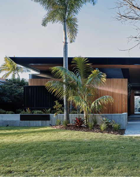 Tropical textures: Cove House | ArchitectureAU Reno Tips, Cove House, Timber Battens, Barbie Dream House, Courtyard Garden, Residential Building, Gated Community, Residential Design, Container House