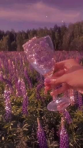 Aesthete🤍 [Video] | Flower aesthetic, Pink tumblr aesthetic, Aesthetic instagram theme Aesthetic Flowers Wallpaper, Pink Tumblr Aesthetic, Tumblr Aesthetic, Aesthetic Flowers, Flowers Wallpaper, Aesthetic Aesthetic, Gif, Tumblr, Purple