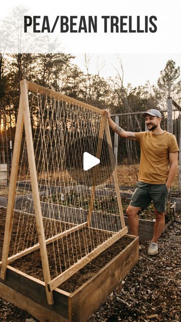 Green Bean Trellis Ideas Easy Diy, Bean Trellis Ideas, Bean Trellis Diy, Zone 7 Gardening, Snap Pea Trellis, Pole Bean Trellis, Babe Rainbow, Bean Trellis, Vegetable Trellis