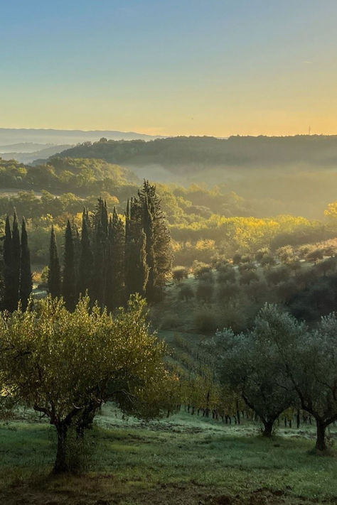 Experience the breathtaking beauty of Tuscany's landscapes with our exclusive villa rentals. From rolling vineyards to historic olive groves, our handpicked villas offer unrivalled views of the Tuscan countryside.

#to_tuscany #tuscany #villa #views #italiancountryside #olivegroves #vineyards #traveldestination Italy Moodboard, Tuscany Garden, Tuscany Aesthetic, Italian Getaway, Italian Farm, Tuscany Home, Olive Farm, Tuscan Towns, Tuscany Landscape