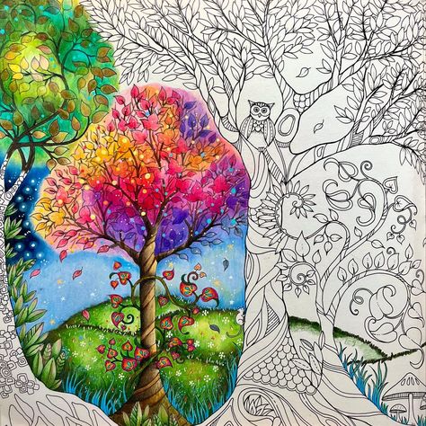 Enchanted Forest Johanna Basford Finished Pages, Enchanted Forest Johanna Basford, Enchanted Forest Coloring Book Johanna Basford, Chris Cheng, Kanoko Egusa, Colouring Heaven, Forest Coloring, Enchanted Forest Coloring Book, Joanna Basford Coloring