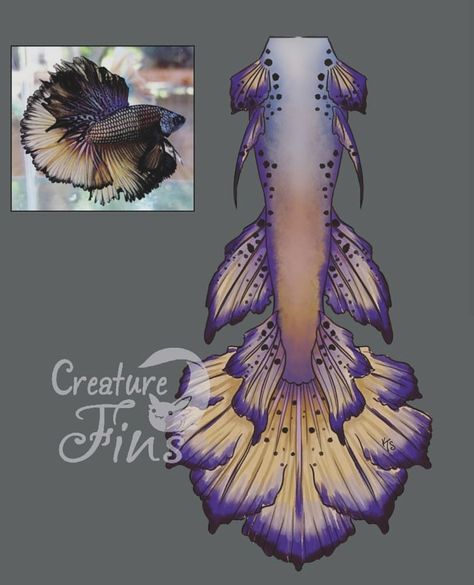 Mermaid Tail Art, Mermaid Tail Drawing, Mermaid Things, Realistic Mermaid Tails, Fish Types, Siren Core, Tail Mermaid, Realistic Mermaid, Gacha Online