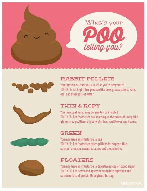 What Does Your Poop Tell You About Your Body & Your Health? – SheKnows Slippery Elm Tea, Haylie Pomroy, Prebiotic Foods, Snoring Remedies, Digestive Juice, Colon Cleanse, Health Info, Health Facts, Community Board