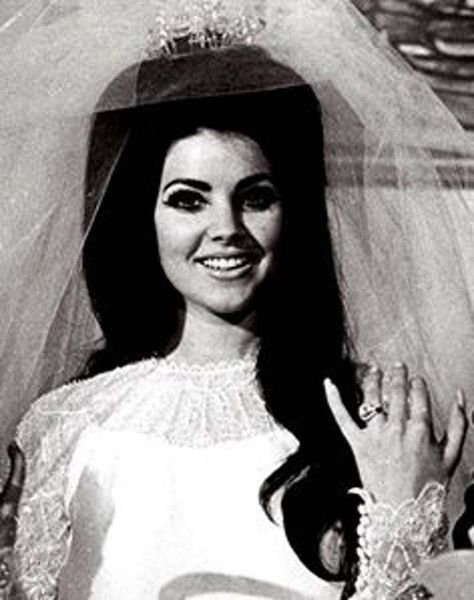 13 Pictures of Young Priscilla Presley Priscilla Presley Wedding, Young Priscilla Presley, Elvis Wedding, Elvis Presley Family, Graphisches Design, Elvis And Priscilla, Vintage Wedding Hair, Ann Margret, Priscilla Presley