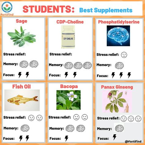 Memory Supplements Brain, Supplements For Focus, Supplements For Memory, Memory Supplements, Health Facts Fitness, Holistic Remedies, Get Back To Work, Student Organization, Brain Food