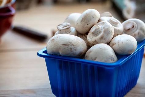 How to Store Mushrooms How To Store Mushrooms, Mushroom Storage, Mushroom Recipes Pasta, 5 Ingredient Dinners, How To Cook Mushrooms, Shiitake Mushrooms, Storage Tips, How To Store, Salad Side Dishes