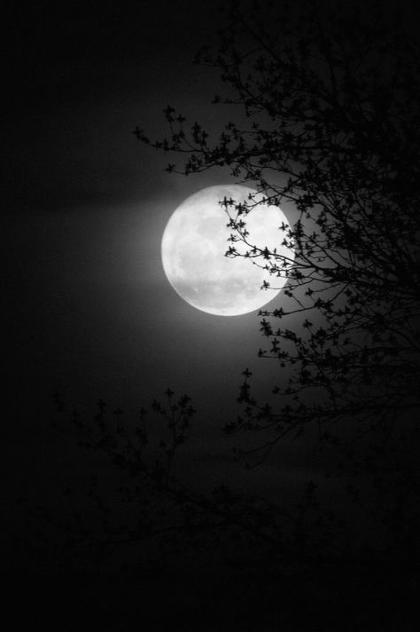 Beautiful Moon Pictures, Dark Art Photography, Moon Pictures, Dark Phone Wallpapers, Moon Photography, The Full Moon, Beautiful Moon, Sky Aesthetic, Dark Wallpaper