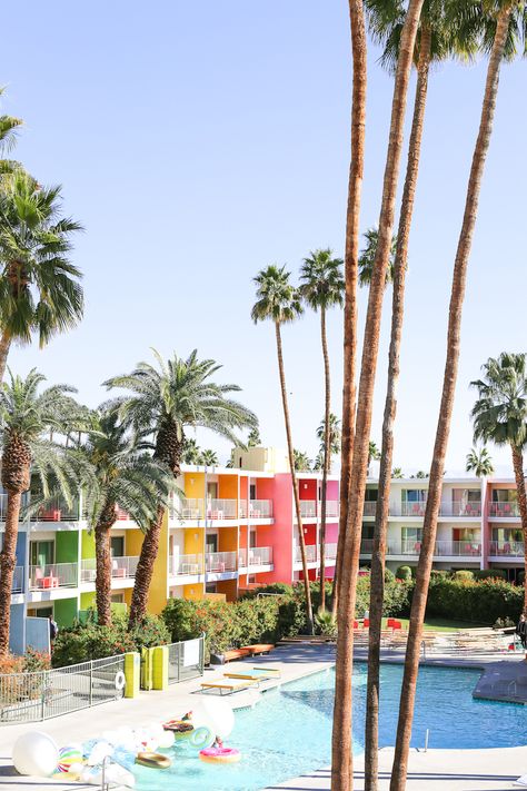 Palm Springs Travel, Saguaro Hotel, Stars D'hollywood, Paris Airport, Beautiful Desert, Palm Spring, California Vibe, Palm Springs California, Palm Springs Wedding