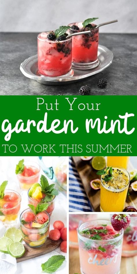 Delicious (alcoholic) Drinks That Use Mint! Minty Drinks Delicious Alcoholic Drinks| Put your Garden Mint to Work this Summer #mintydrinks #alcoholicdrinks #drinkswithmint Mint Drinks Alcohol, Non Alcoholic Drinks With Mint, Mint Alcoholic Drinks, Mint Julep Recipe Non Alcoholic, Creative Alcoholic Drinks, Goodies Recipes, Best Mojito Recipe, Bbq Drinks, Julep Recipe