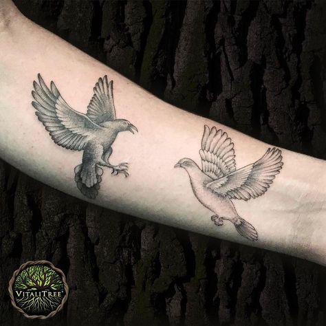 When dark meets light in the form of birds, the delicate dance of yin and yang stays eternally on this forearm as described by these words. Simple and beautiful #realistictattoo design by @jershtattoos_ from West Hollywood, California.⠀ ⠀ #birdtattoo #birdstattoo #birdtattoos ⠀ #blackworkers #blackink #forearmtattoo #bngtattoo #blackandgreytattoos #blackink #greywash #blackworkers #dotworktattoo #birdart #armtattoo #spiritanimal⠀ ⠀ #DontFlipOutFlipTheLid ➕ #SalveItBeforeYouStabIt 🌿 #VitaliTreeT Crow Tattoo Meaning, Dove Tattoo Meaning, Rabe Tattoo, Olive Branch Tattoo, Dove Tattoo Design, Dove Flying, Dove Tattoos, Flying Tattoo, Dove Tattoo