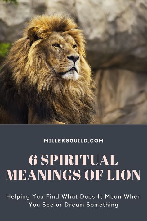 6 Spiritual Meanings of Lion 2 Animals Symbolism, Lion Meaning, Lion Symbolism, Lion Spirit Animal, Lion With Wings, Lion Tattoo Meaning, Asiatic Lion, Spirit Animal Meaning, Royal Animals