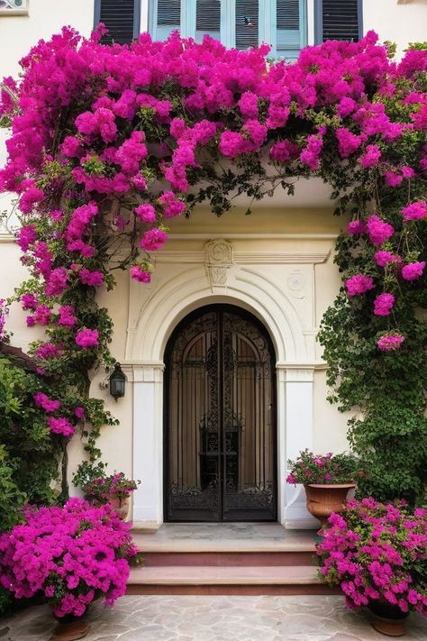 10 Best Climbing Flowers For House Climbing Flowers On Houses, Roses Front Yard Landscape, Climbing Roses On House, Rose Climbers, Jasmine Images, Wall Of Roses, Wall Climbing Plants, Pink Jasmine, Climbing Flowers