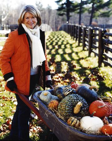 Martha Stewart: Pumpkins, squashes great for eating - Deseret News Martha Stewart Fall, Martha Stewart Thanksgiving, Pumpkin Stew, Martha Stewart Christmas, Martha Stewart Halloween, Pumpkin Squash, Martha Stewart Living, Christmas Mood, My Garden