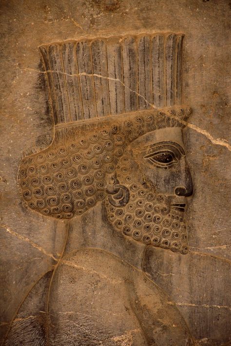 Ancient Persian Art, Persian People, Persian Warrior, Cyrus The Great, Shiraz Iran, Iran Culture, Iran Pictures, Ancient Persia, Ancient Persian