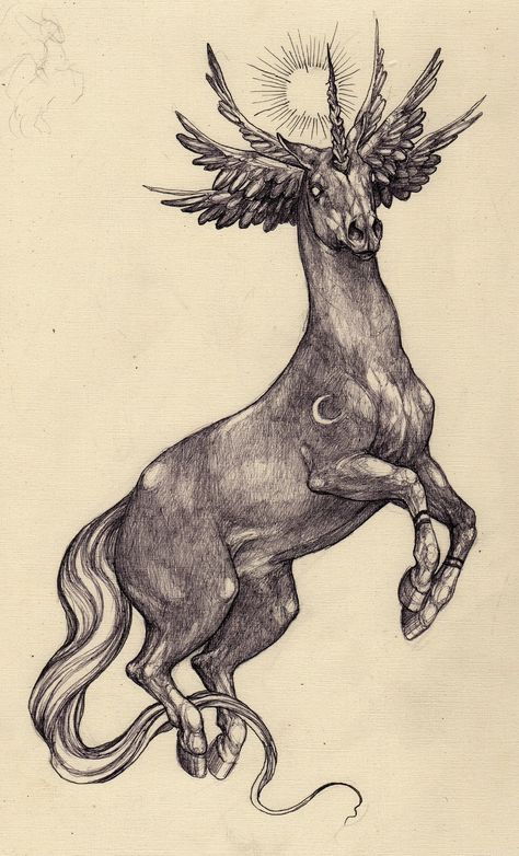 Surrealism Animals Drawing, Flying Horse Drawing, Animals In Armor, Medieval Unicorn Tattoo, Animal Art Reference Photography, Rearing Horse Drawing, Aesthetic Horse Tattoo, Ink Animal Drawings, Horse Designs Art