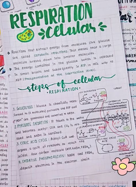 Life Processes Biology Notes Aesthetic, Biology Assignment Ideas, Respiration In Plants Notes Class 11, Dna Notes, Biology Knowledge, Handwriting Tutorial, Mole Concept, Chemistry Book, Anatomy Education